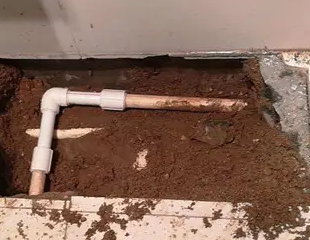 紫云测漏水哪家好