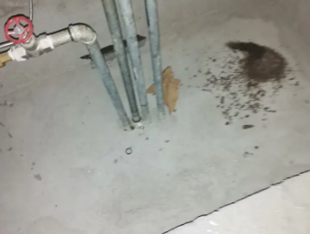 紫云卫生间测漏水价格明细